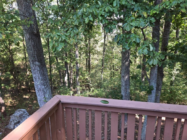 Photo - 2035 Rock Bluff Rd