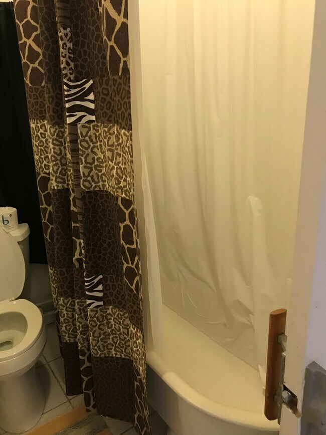 86 Prentiss St Condo Unit 1 Condo for Rent in Watertown Town, MA