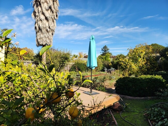 Photo - Two bedroom house in Redwood City