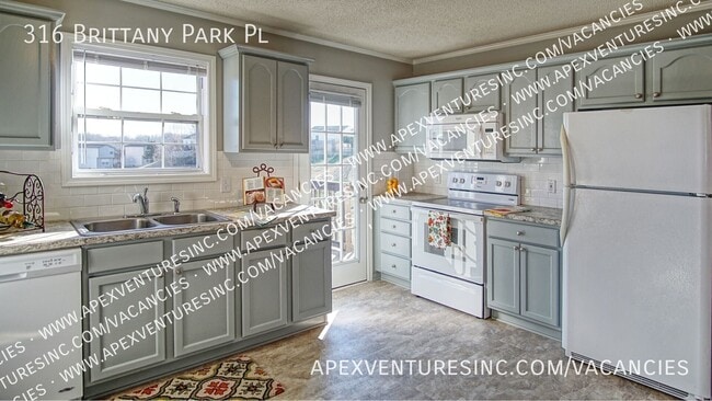 316 Brittany Park Pl