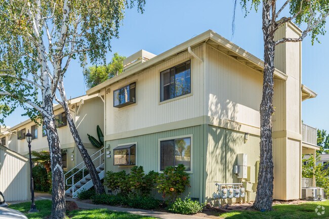 Photo - Galindo Woods