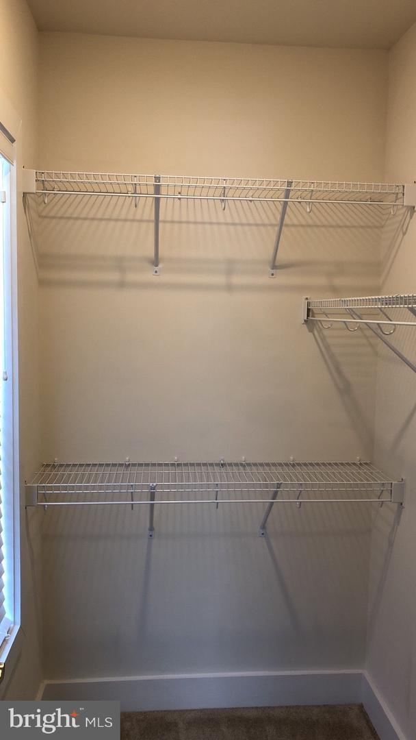 Photo - 20489 Milbridge Ter