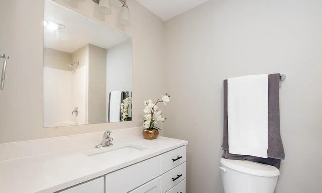 Photo - 3111 Scotch Ln