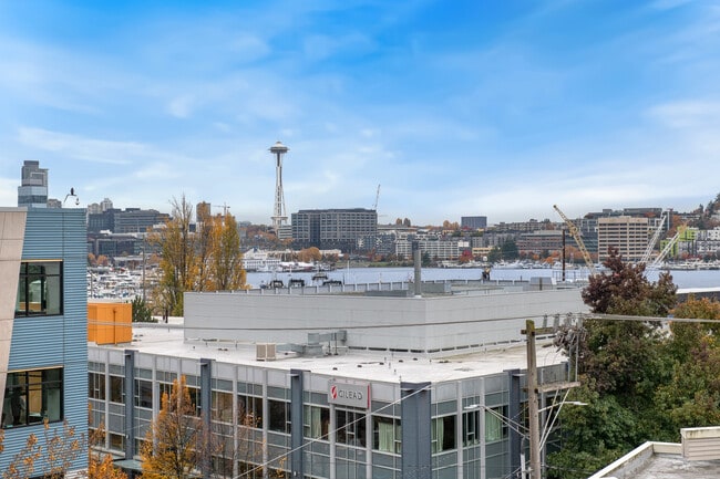 Lake Union Terrace