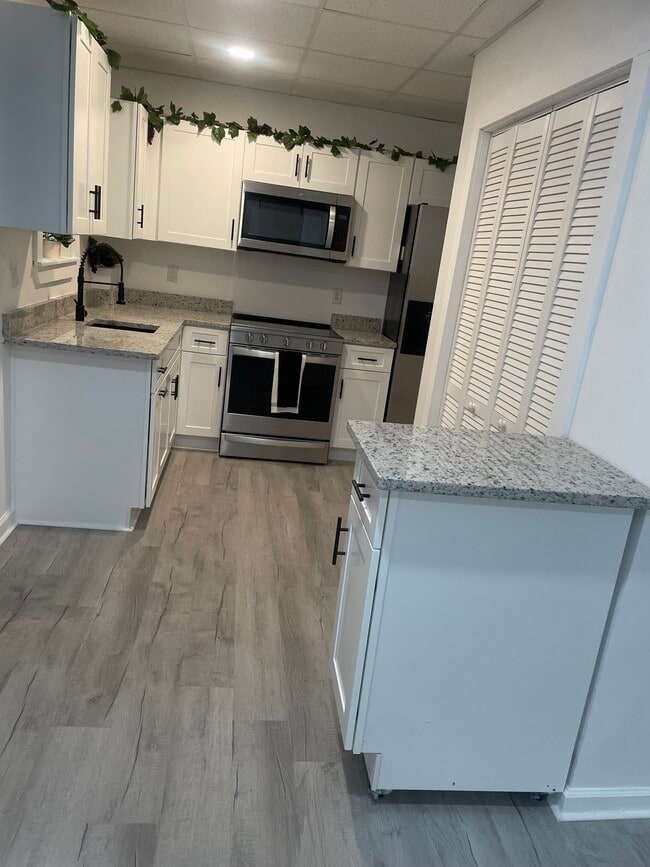 1161 Wicker Oak Dr Unidad 2-Bedroom Basement