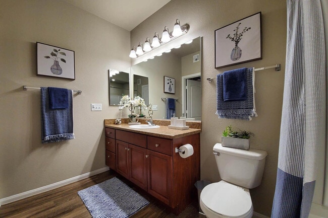 The Signature 757 SQFT 1 Bed 1 Bath