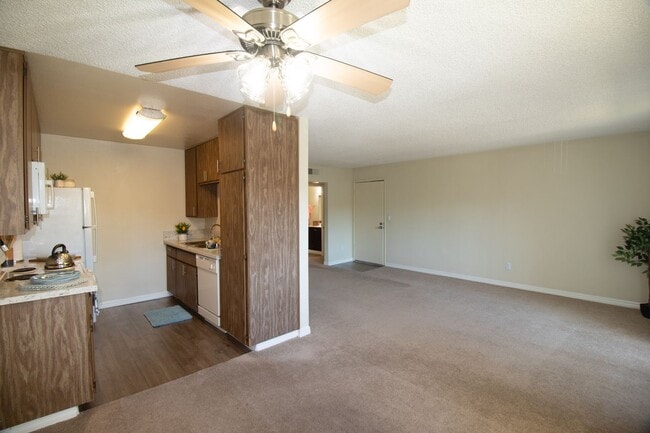 Gold Coast Apartments