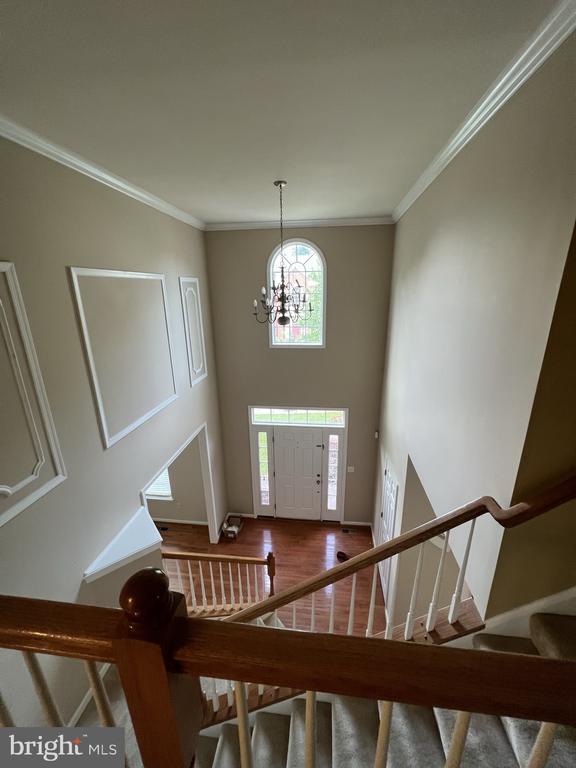 Photo - 4511 Nightingale Ct