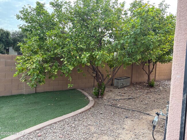 7648 W Creosote Spring Ct