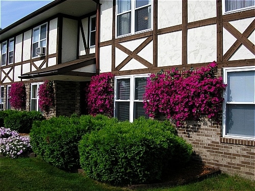 Photo - Chatterton Apartments
