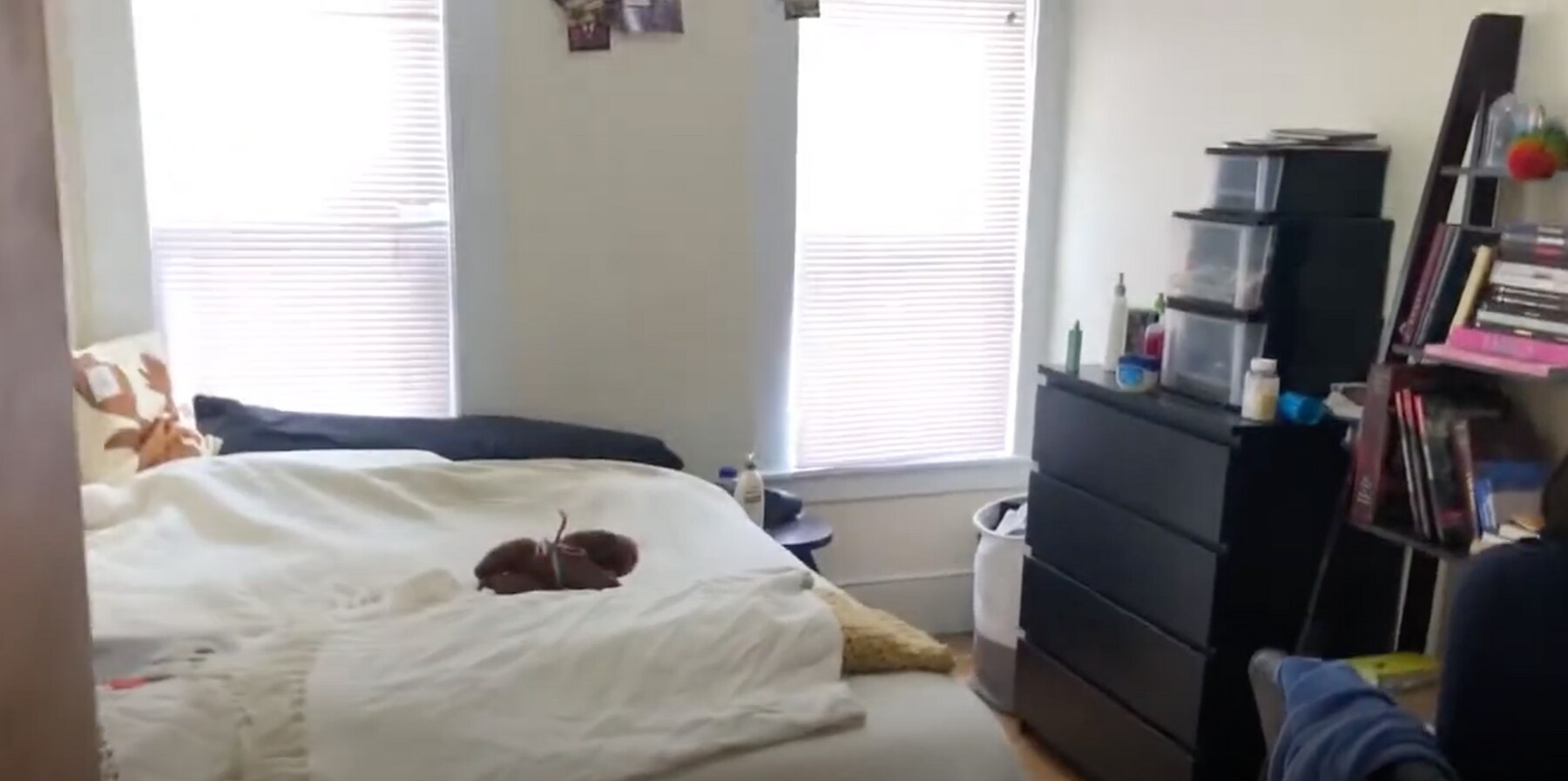 Photo - 28 Cherry St