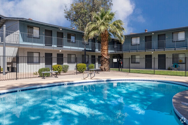 Sparkling Pool - North Building - The Palms at Camelback West