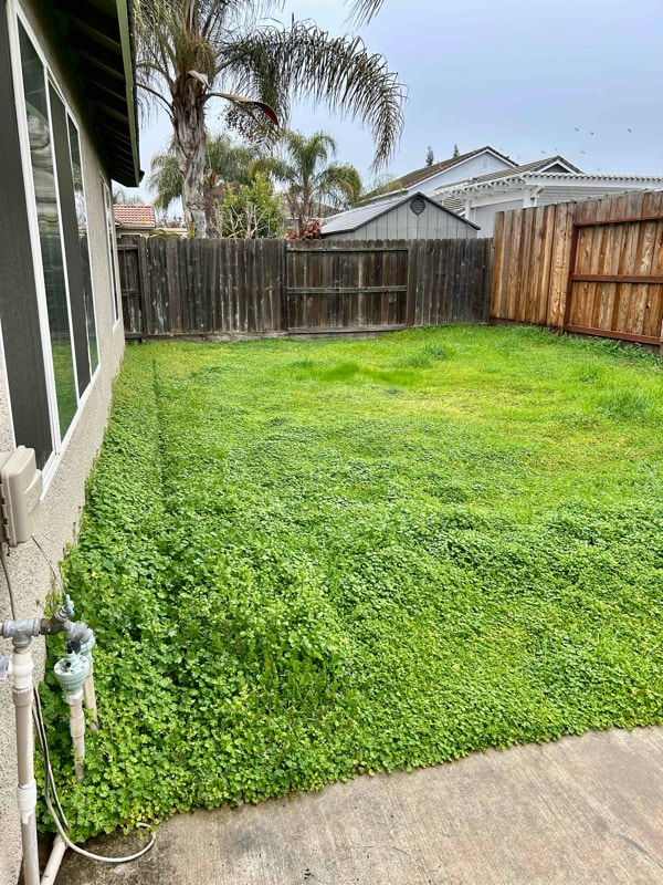 Photo - 5412 Etherington Ct