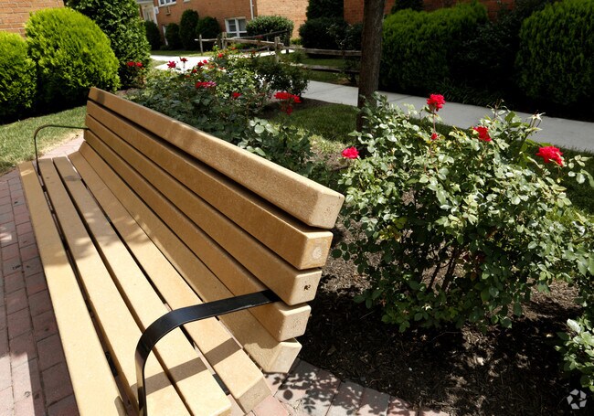 Photo - Sunrise Village