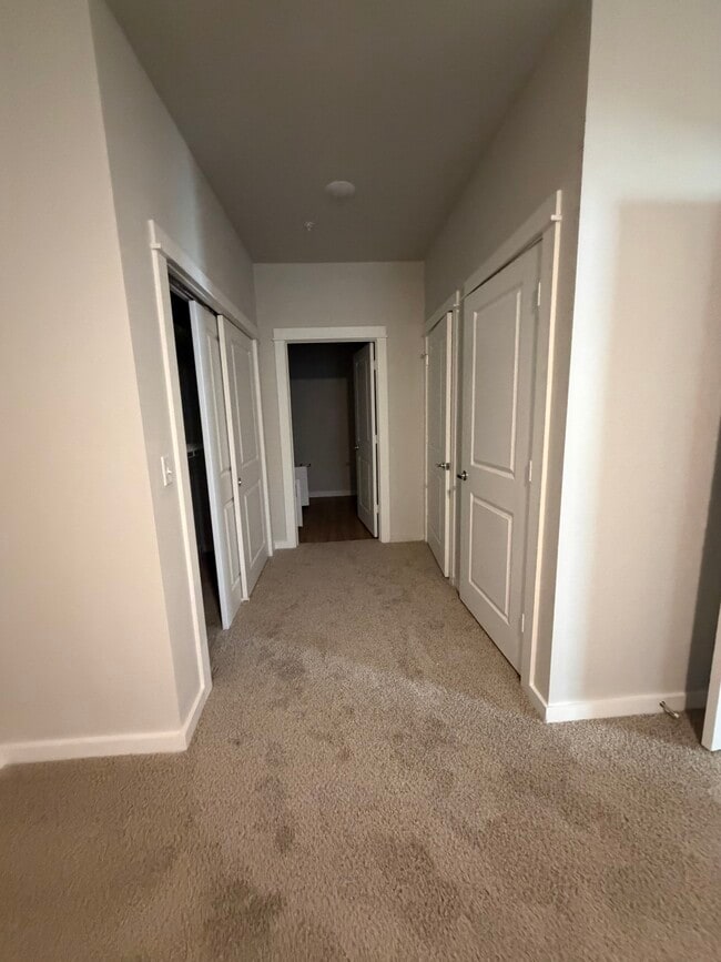 Photo - Anacua Village