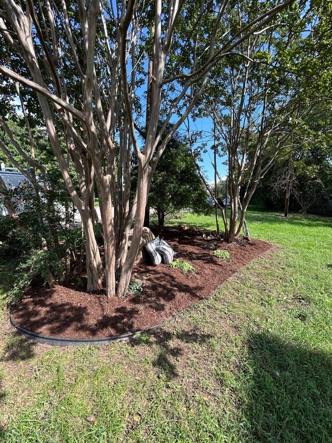 Photo - Spacious 3 BR home, Minutes to Medical Cen...