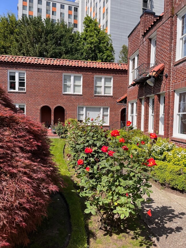 Photo - Rosegate