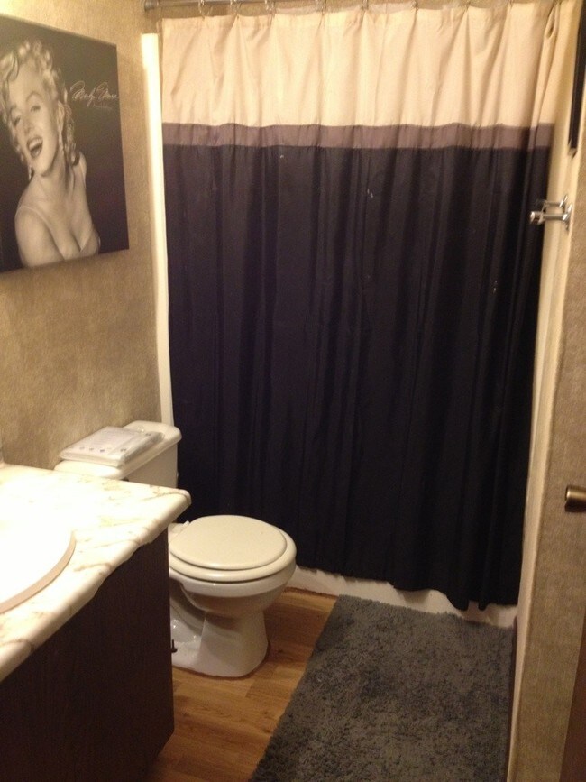 Prokos Rentals For Rent in Athens, OH