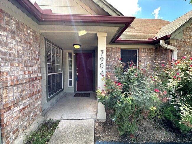 7903 Tiger Eye Cove