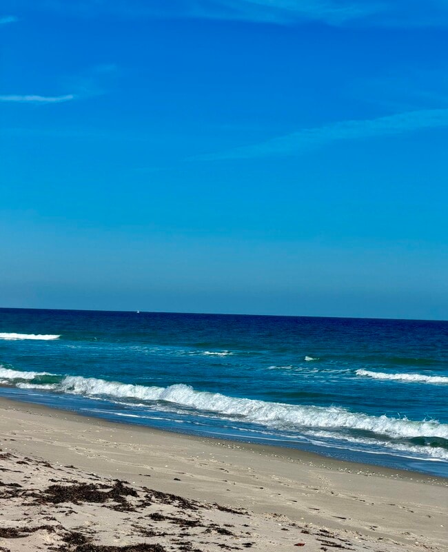 Photo - 4235 N Hwy A1A