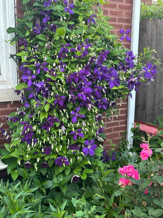 Photo - 220 W Harris Ave Unit First Floor