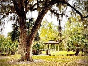 Photo - 314 Palm Coast Pkwy NE Unit 204