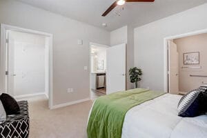 Photo - Woods Hollow