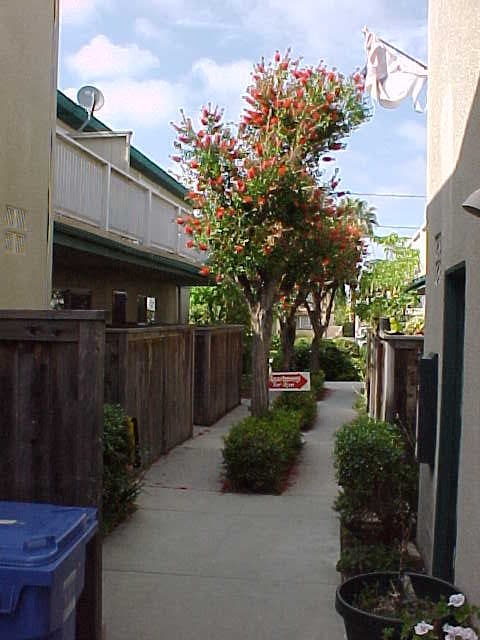 Photo - 2010 Ruhland Ave