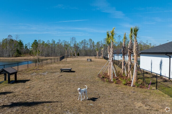 Dog Park