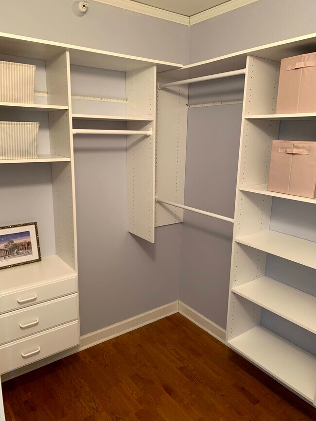 Walk-in closet - 450 E Waterside Dr Unit 2106