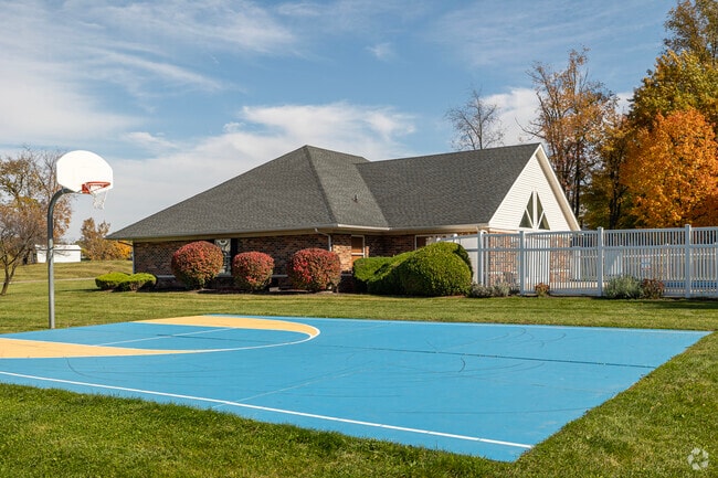 Basketball Court
