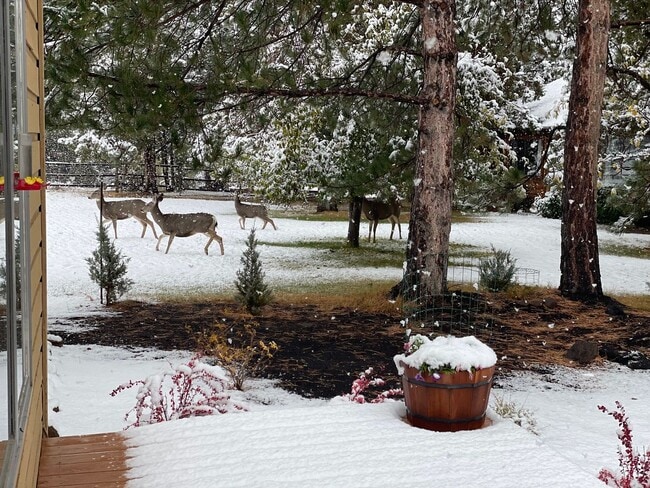 Photo - County Setting in NW Bend - 3 Bedroom / 2 Bathroom