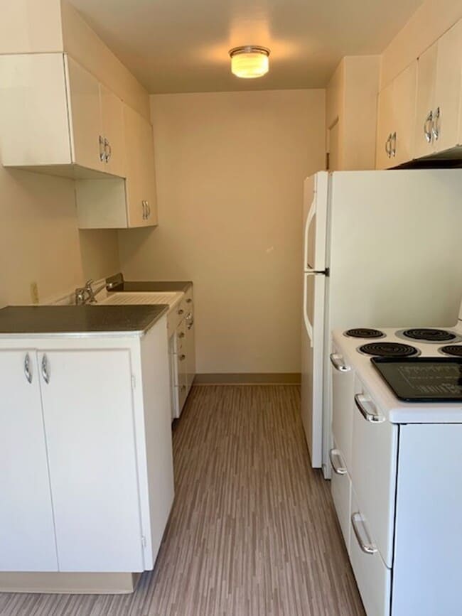 Photo - Blue Dolphin