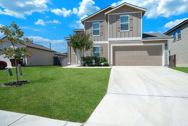 Photo - 14715 Harlequin Duck