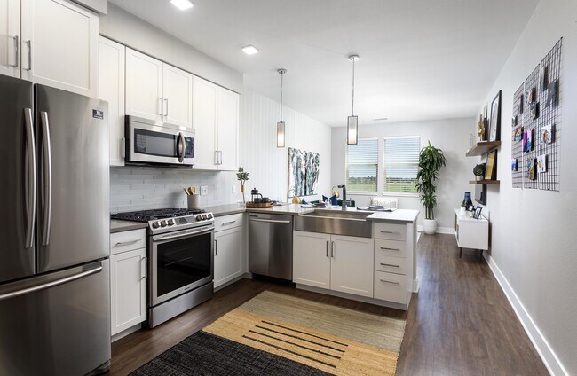 Photo - Broadstone Wren