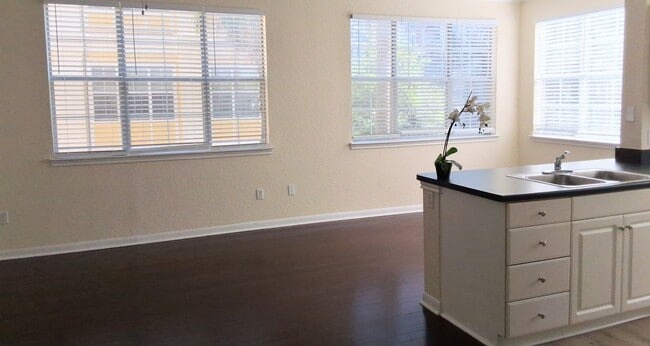 City View Wood Floor Updated Kitchen 2/2 ... - City View Wood Floor Updated Kitchen  2/2 ... Unit 256