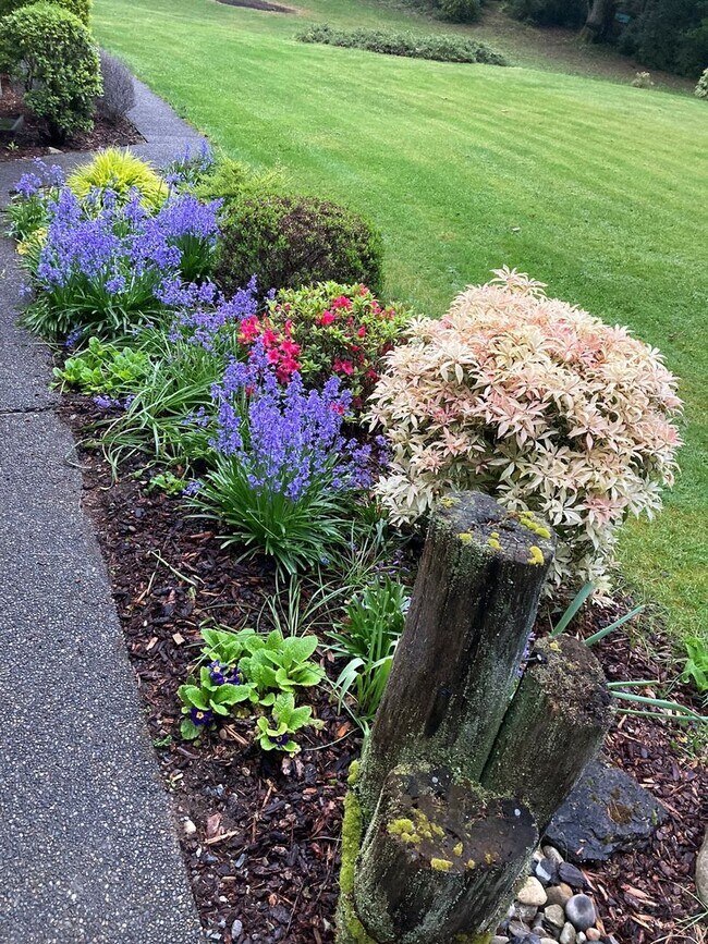 Photo - Lovely 4 Bedroom Home on Fox Island