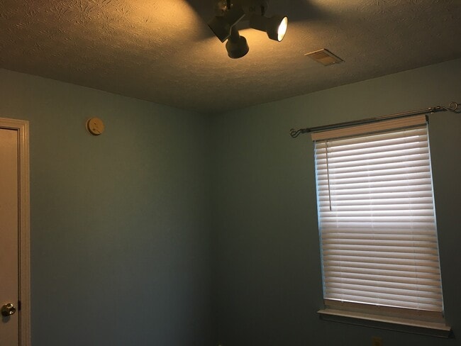 Photo - Just In Time For Christmas!