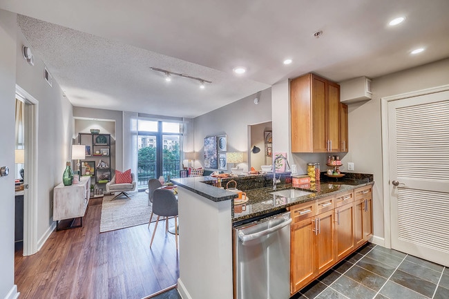Granite Countertops - Halstead Tower by Windsor Rental