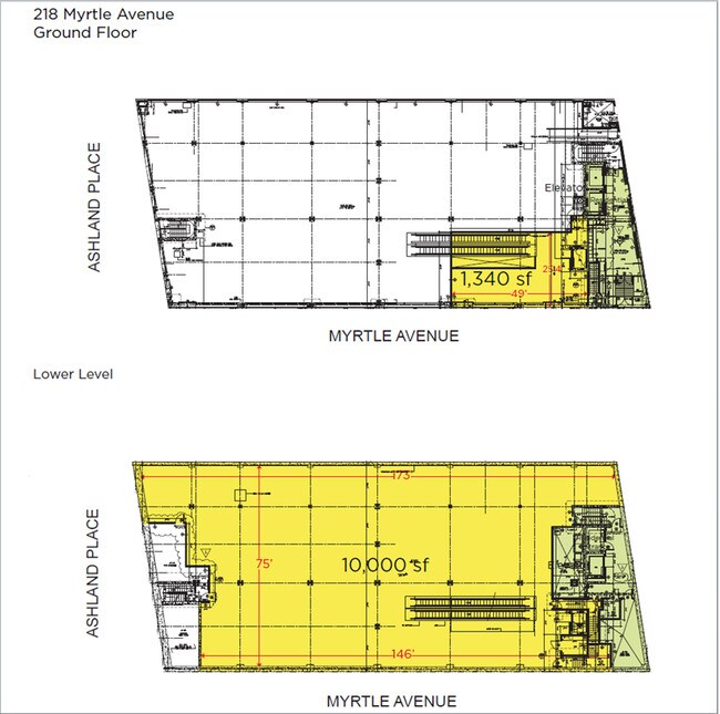 Floor Plan - 218 Myrtle Ave - The Andrea - The Andrea