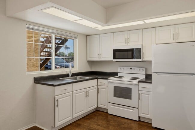 45 N Phyllis-109