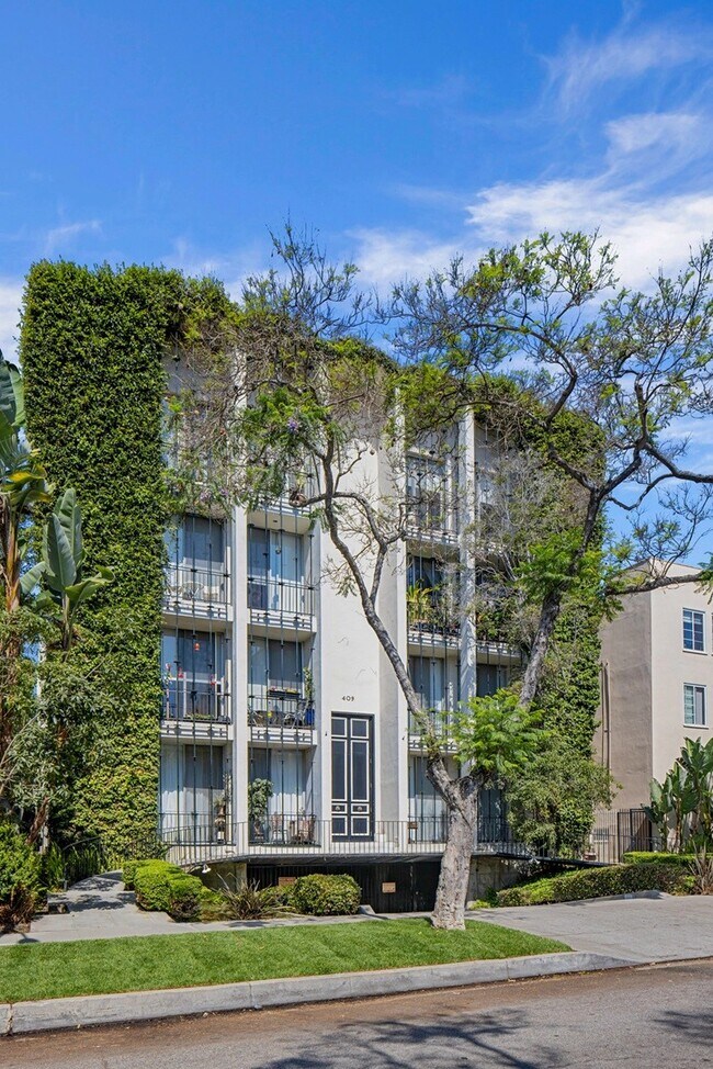409 Palm