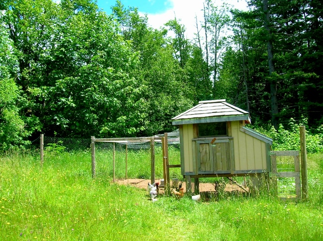 Photo - 1002 Jessup Rd Unit Cozy