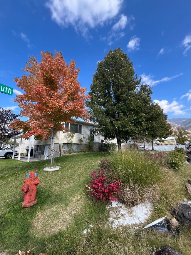 Front Yard - 723 E 600 S Unit 723 E