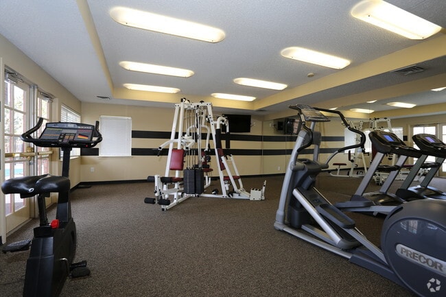 Gimnasio