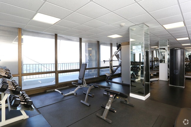 Free Weights