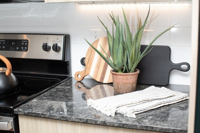 Photo - Elux at McQueen