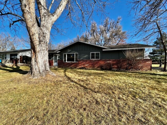 Photo - Ranch-Style 3 Bed, 1.5 Bath Home Near Avery Park in Fort Collins