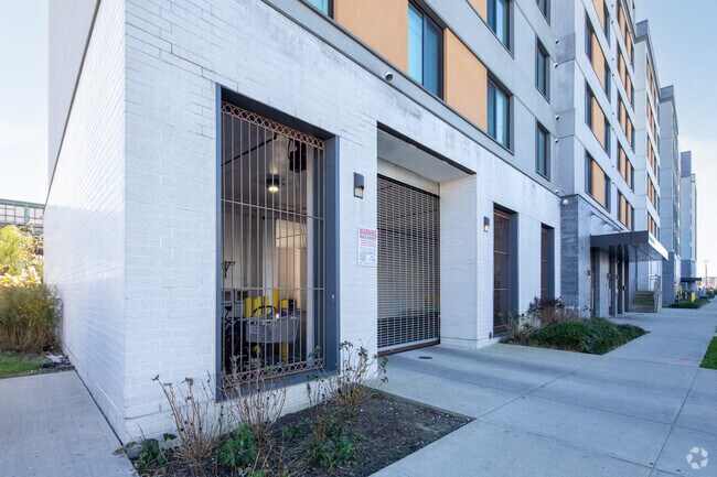 Photo - Beach Green Dunes II