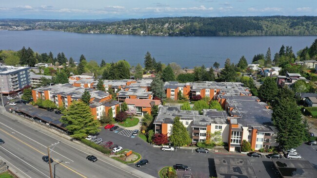 Watercrest